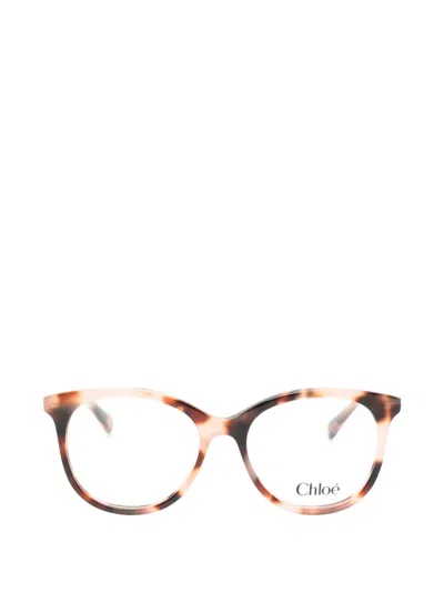 Chloé Tortoiseshell-effect Cat-eye Glasses In Neutral