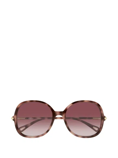 Chloé Tortoiseshell-effect Round-frame Sunglasses In Brown