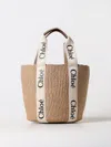 Chloé Women Woody Small Straw Bucket Bag In Brown