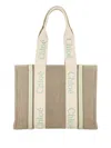 Chloé Bags In Light Eucalyptus