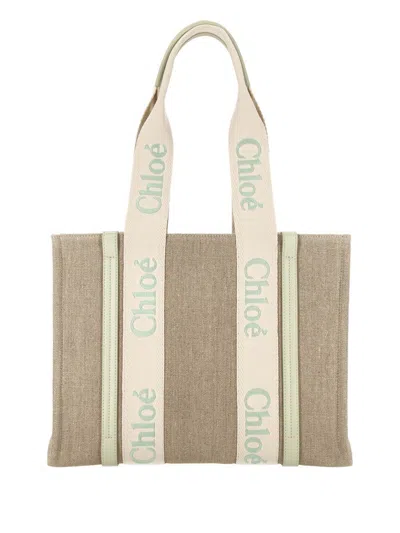 Chloé Bags In Light Eucalyptus