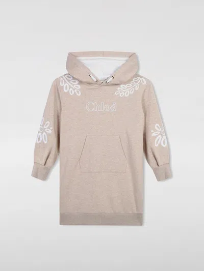 Chloé Cotton Sweat Dress In Braun