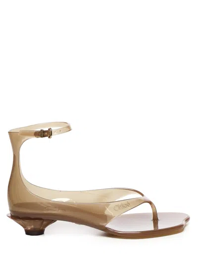 Chloé Translucent Tpu Sandals With Buckle Closure And 2.5 Cm Heel In Brown