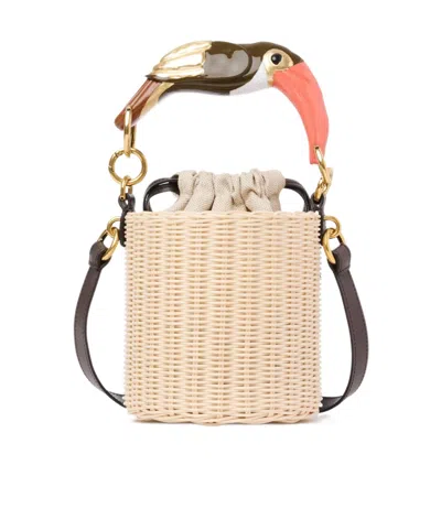 Chloé Tropicus Bucket Bag In Wicker In Pink