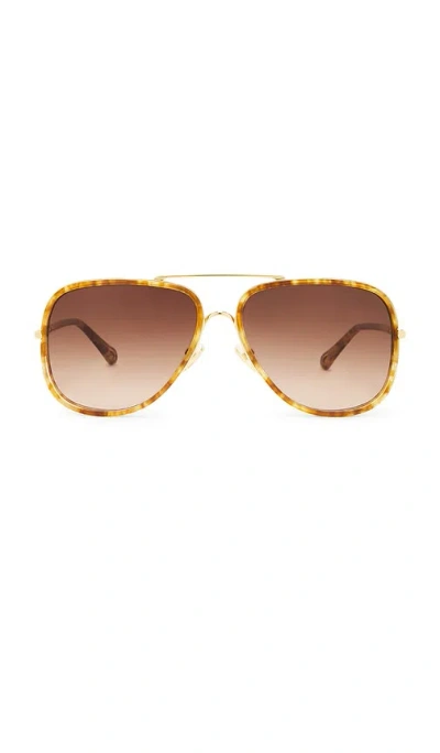 Chloé Tubolar Sunglasses In Brown