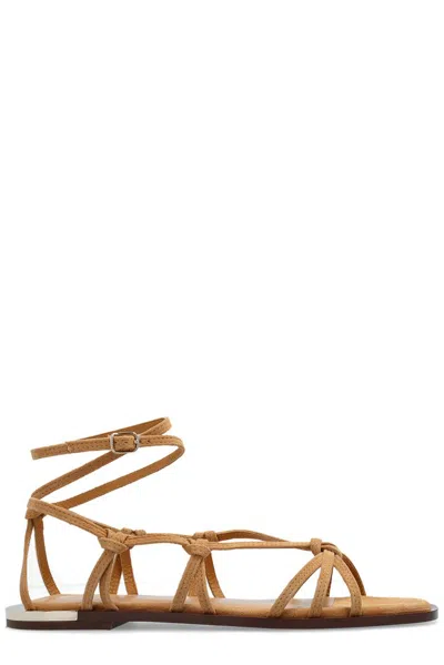 Chloé Uma Beige Suede Flat Sandals In Brown