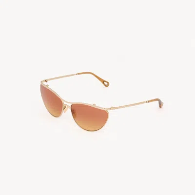 Chloé Uma Sunglasses In Brown