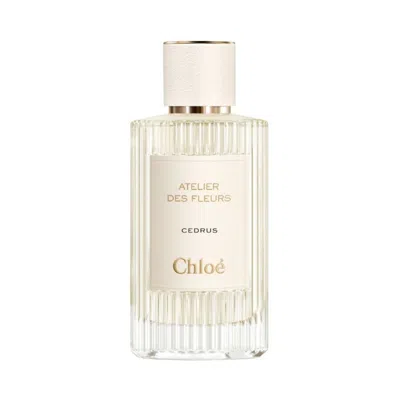 Chloé Chloe Unisex Atelier Des Fleurs Cedrus Edp Spray 5.0 oz Fragrances 3614225344916