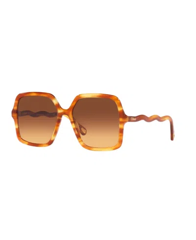 Chloé Unisex Square Sunglasses, Ch0086s 6n000418 In Brown
