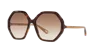 Chloé Unisex Sunglass Ch0008s In Brown Gradient