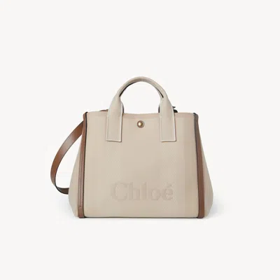 Chloé Vegetal Beige In Brown