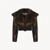 Chloé Shiny Leather Crop Moto Jacket With Removable Lamb Shearling Collar In Multi