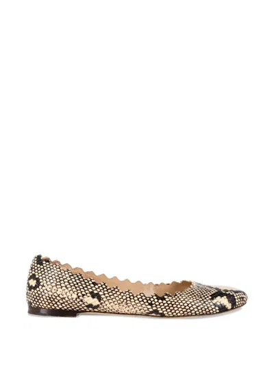 Pre-owned Chloé Vintage Scalloped Animal-print Ballet Flats In Neutral