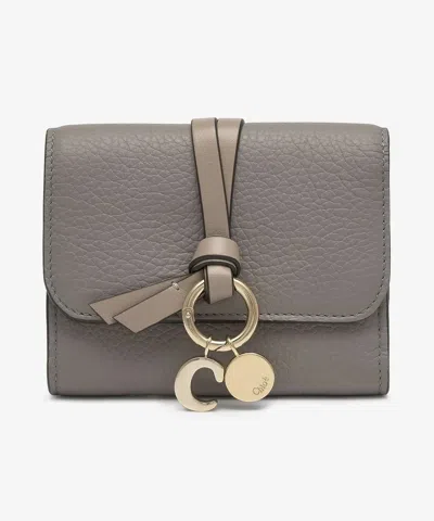 Chloé Wallet With Charm In Gray