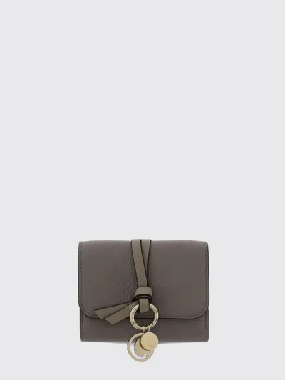 Chloé 钱包 女士 颜色 灰色 In Gray