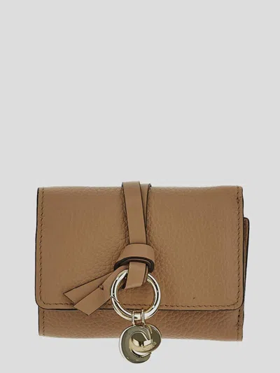 Chloé Wallets In Brown