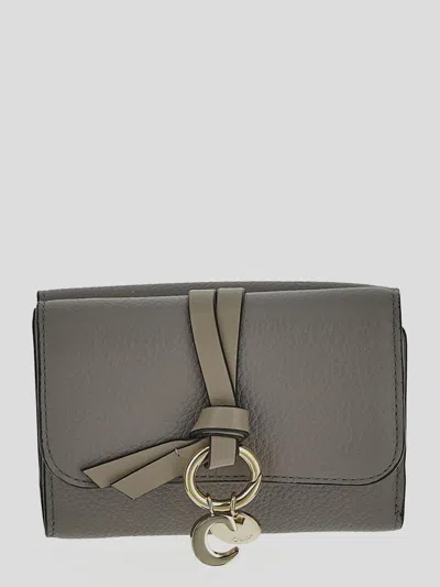 Chloé Wallets