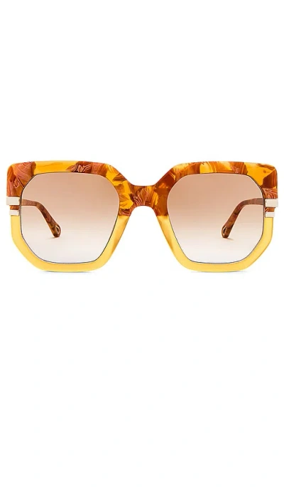 Chloé Butterfly Sunglasses In Brown