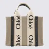 Chloé Chloe Women Multicolor Fabric Small Woody Shopping Bag