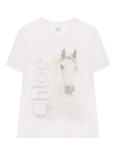 Chloé Faded Horse-print Cotton Jersey T-shirt In White