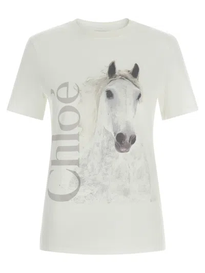 Chloé Cotton Crew Neck Graphic Short Sleeve T-shirt In White