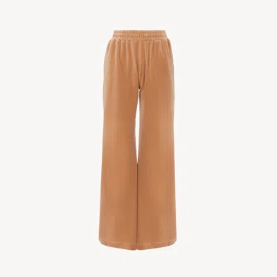 Chloé Pantalon De Survêtement Large En Velours In Brown