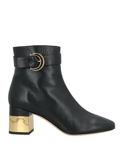 Chloé Woman Ankle Boots Black Size 7.5 Leather