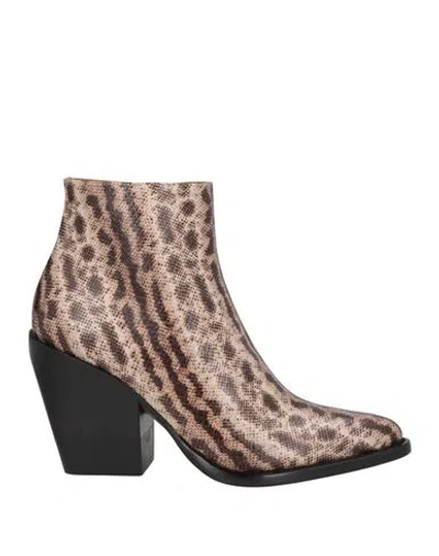 Chloé Woman Ankle Boots Dark Brown Size 5 Leather