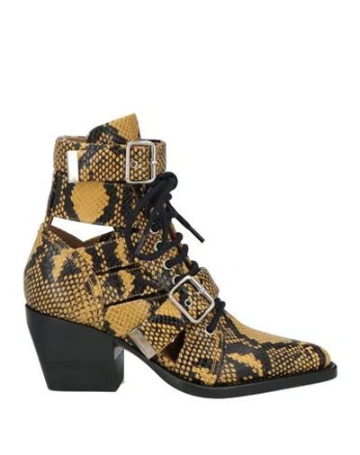 Chloé Woman Ankle Boots Marigold Size 5.5 Leather In Yellow