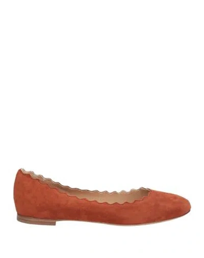 Chloé Woman Ballet Flats Brown Size 4 Leather
