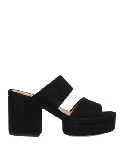 Chloé Woman Sandals Black Size 10 Soft Leather In Black