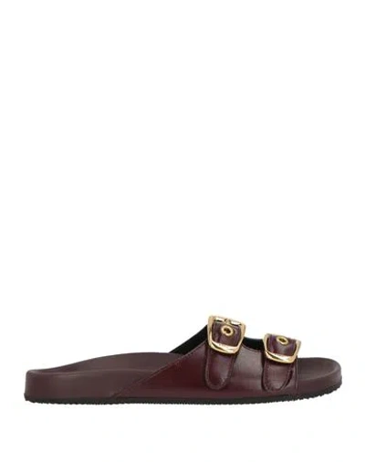 Chloé Woman Sandals Burgundy Size 6 Leather In Multi