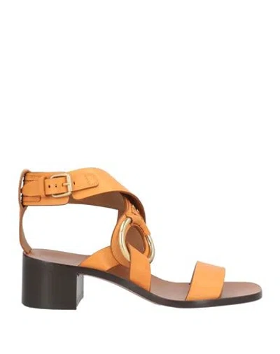 Chloé Woman Sandals Camel Size 6.5 Leather In Orange