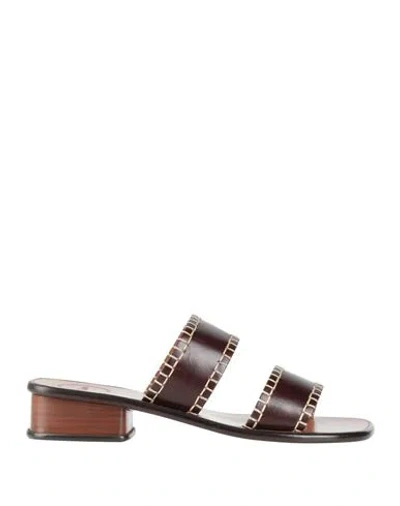 Chloé Woman Sandals Dark Brown Size 8 Soft Leather