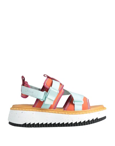 Chloé Sandals In Orange