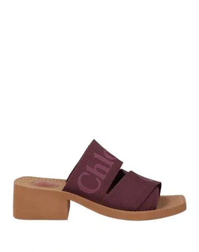 Chloé Woman Sandals Plum Size 6 Textile Fibers In Purple