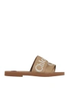 Chloé Logo Woody Flat Mules In Beige