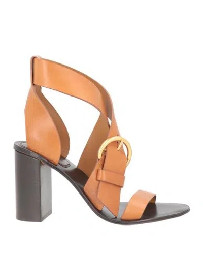 Chloé Woman Sandals Tan Size 7.5 Leather In Brown