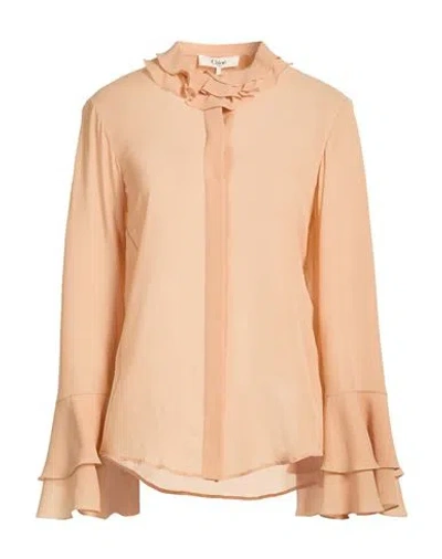 Chloé Woman Shirt Sand Size 8 Silk In Brown