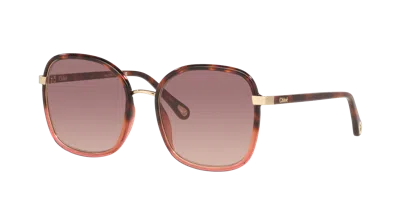 Chloé Woman Sunglass Ch0031s In Red