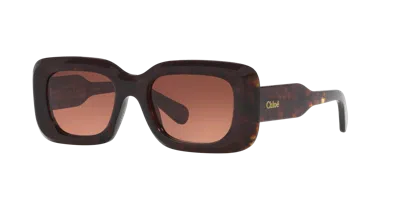 CHLOÉ CHLOÉ WOMAN SUNGLASS CH0188S