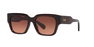 Chloé Woman Sunglass Ch0190s In Copper