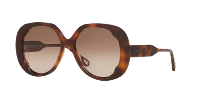 Chloé Woman Sunglass Ch0195s In Brown