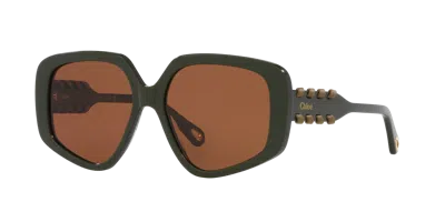 Chloé Woman Sunglass Ch0210s In Brown