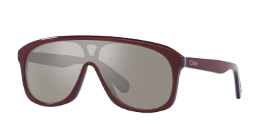 Chloé Women's Sunglasses, Ch0212s In Silver