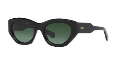 Chloé Woman Sunglass Ch0220s In Grey
