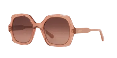 Chloé Woman Sunglass Ch0226s In Brown