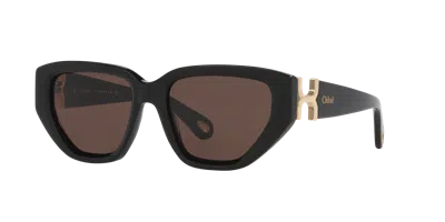 Chloé Woman Sunglass Ch0235s In Brown