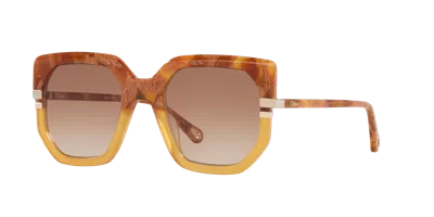 CHLOÉ CHLOÉ WOMAN SUNGLASS CH0240S