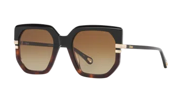 CHLOÉ CHLOÉ WOMAN SUNGLASS CH0240S